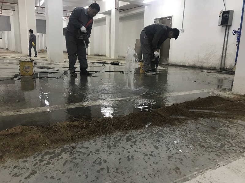 地下室91香蕉黄色视频縫香蕉国产2024價格